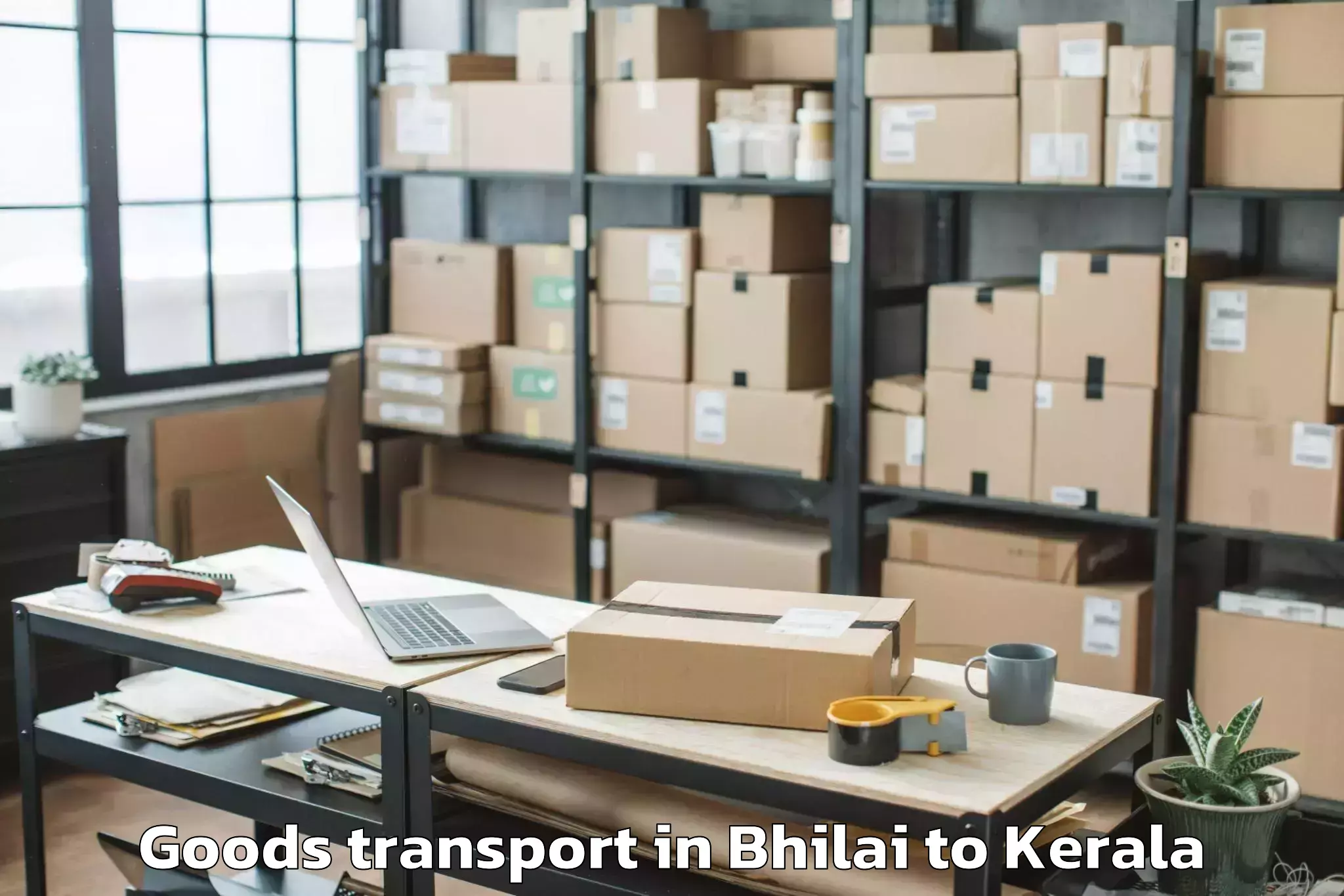 Expert Bhilai to Chirayinkeezhu Goods Transport